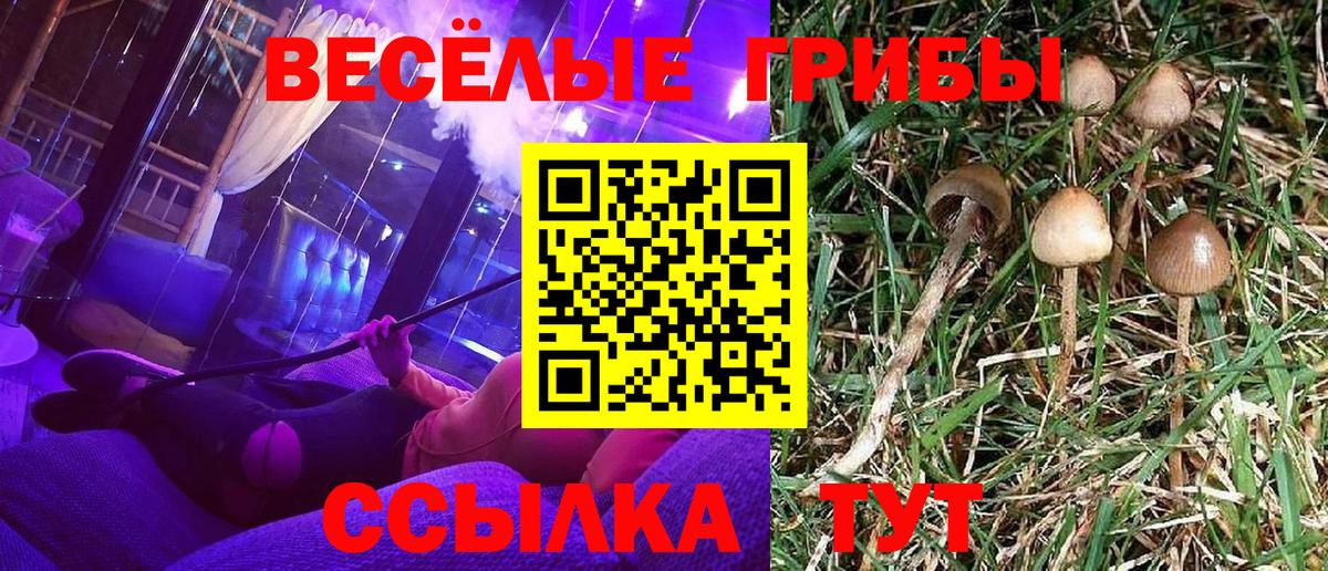 Галлюциногенные грибы MAGIC MUSHROOMS  Вход с VPN  Арзамас 