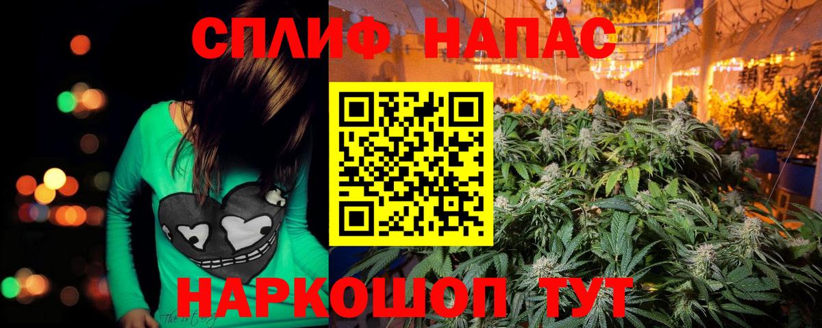 Бошки марихуана планчик  Канабис SATIVA & INDICA  Вход с VPN  Бошки Шишки семена  Бошки Шишки гибрид  Арзамас 